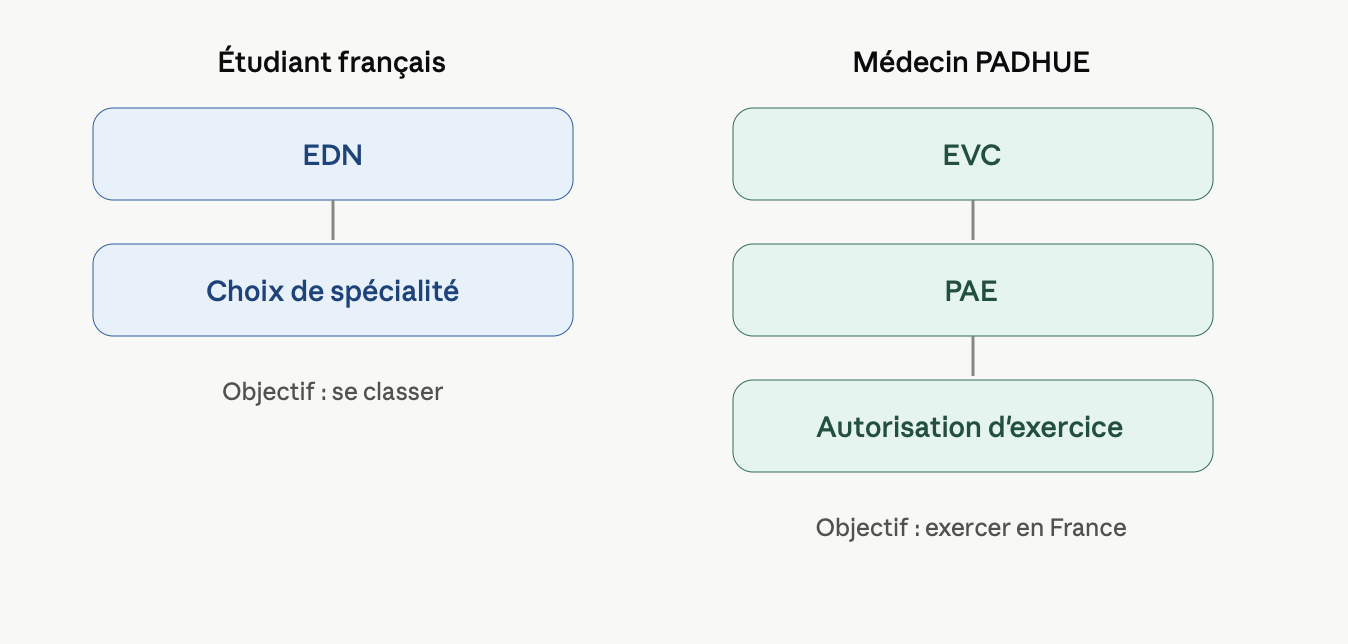 Schéma comparant les deux parcours : l'étudiant français passe les EDN pour choisir sa spécialité, le médecin PADHUE passe les EVC dans le cadre de la PAE pour obtenir l'autorisation d'exercice en France